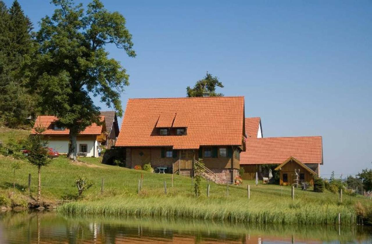 Ferienhof Kienbronnerhof Schiltach Buitenkant foto