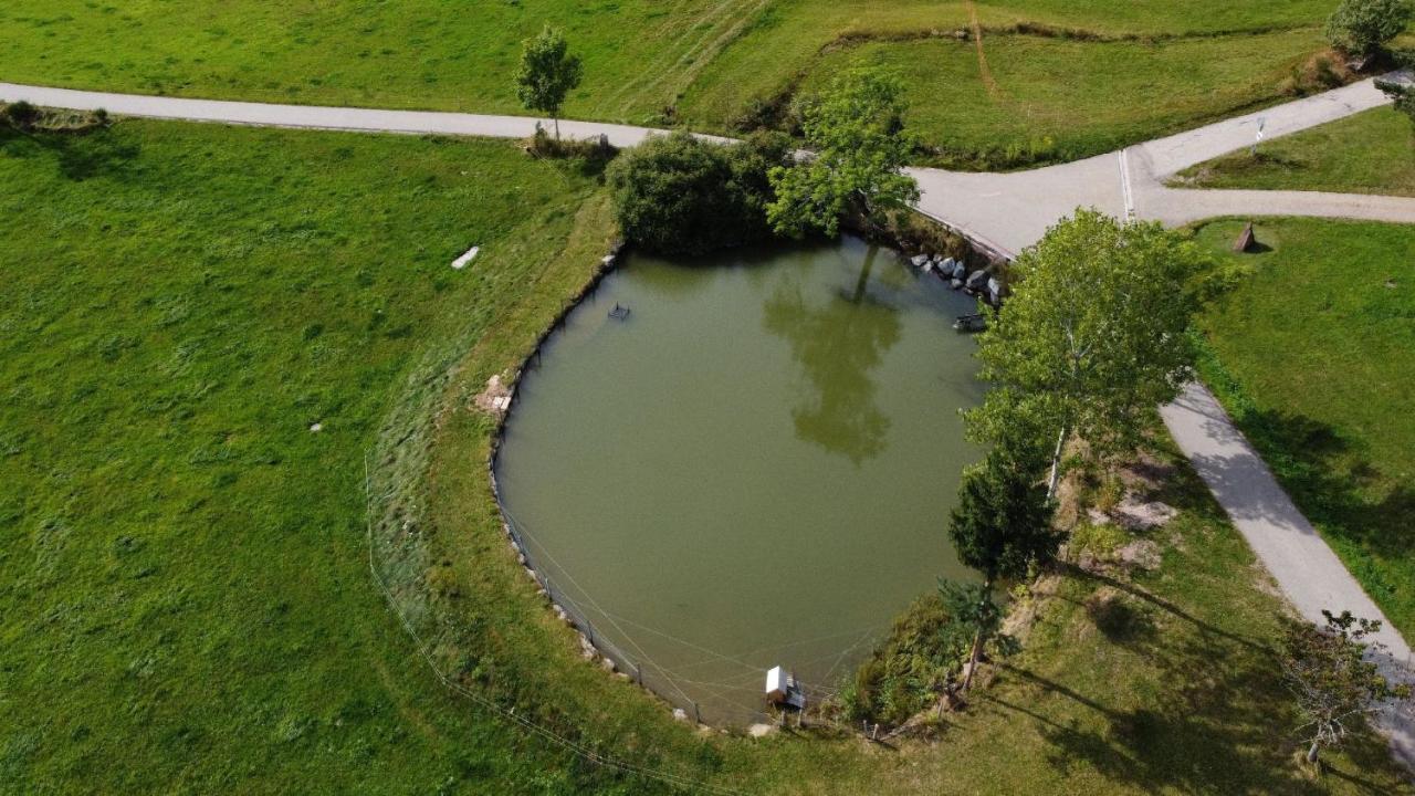 Ferienhof Kienbronnerhof Schiltach Buitenkant foto