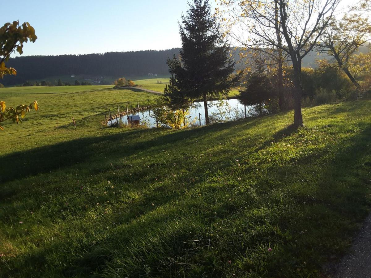 Ferienhof Kienbronnerhof Schiltach Buitenkant foto
